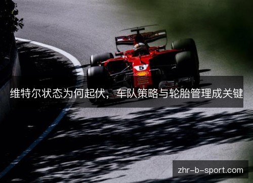 维特尔状态为何起伏,车队策略与轮胎管理成关键 维特尔状态为何起伏,车队策略与轮胎管理成关键